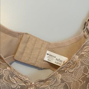 Wacoal Lace Detail Bra in Taupe